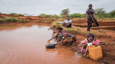 Kenia vive desde hace un año un fenómeno como jamás conoció en su historia.