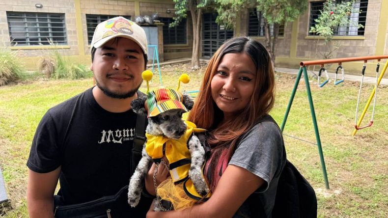 Carnaval de las Mascotas: más de 200 animales atendidos en la jornada municipal