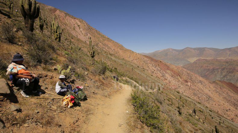 Punta Corral 4G: garantizan conectividad para móviles en todo el recorrido