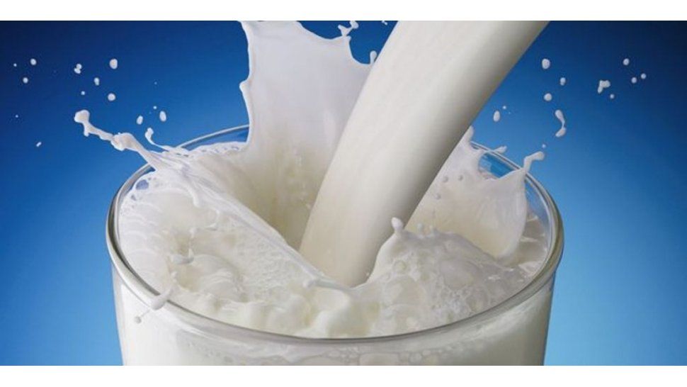 Mitos sobre la leche