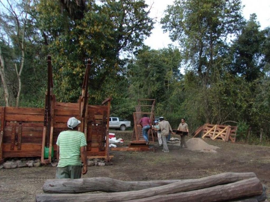 Impulso a la producción bovina