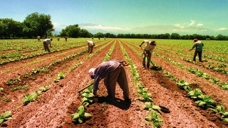 Día del Trabajador Rural.&nbsp;