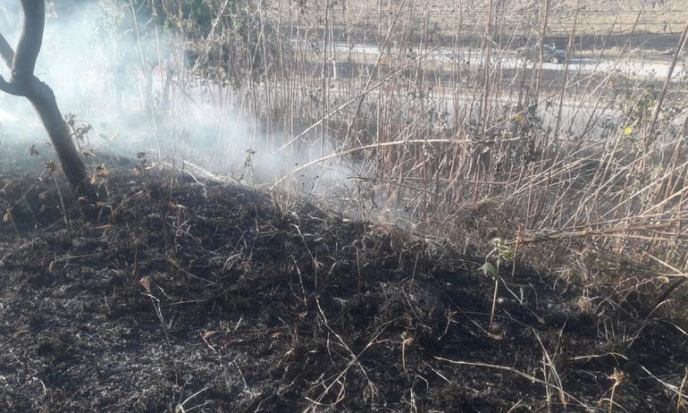 Incendios forestales atemorizaron a vecinos de San Salvador de Jujuy
