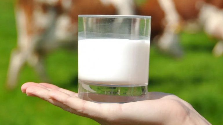 Día Mundial de la Leche: una fecha asignada por las Naciones Unidas.