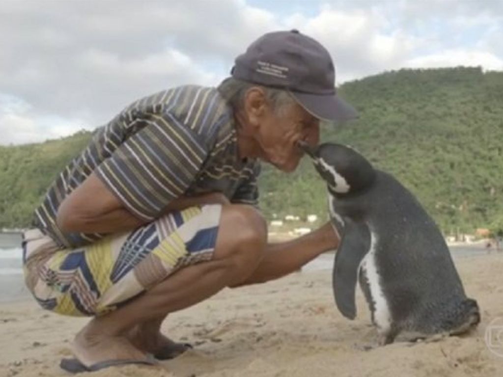 El pingüino con su salvador
