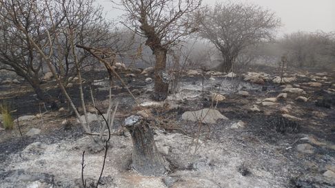Todo Jujuy | Incendio en Volcán (2)