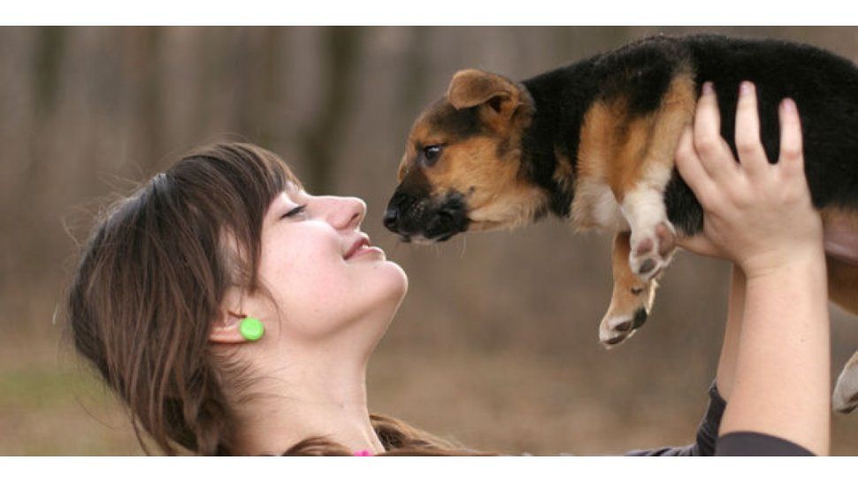 perro