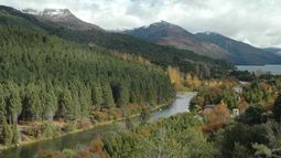 Alarma por ola de violencia contra animales en una aldea neuquina. Alarma por ola de violencia contra animales en una aldea neuquina.