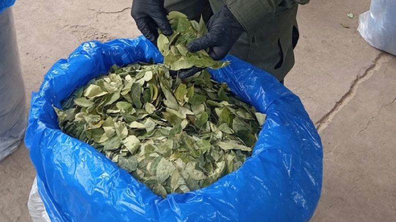 Decomisaron más de 17 mil atados de cigarrillos y 400 kilos de hojas de coca en Salta y Jujuy