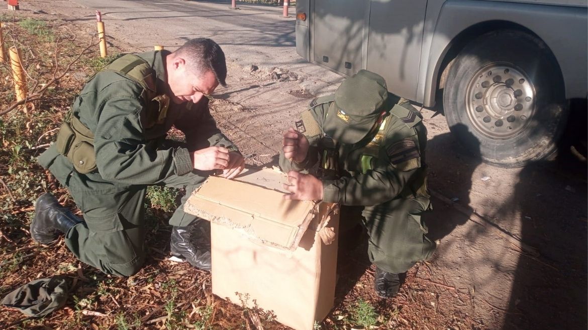 En Mendoza secuestran hojas de coca que salieron de Jujuy