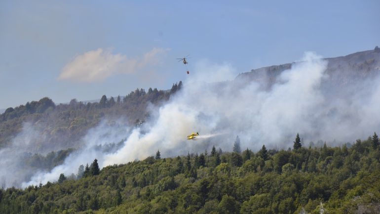 Más de tres mil hectáreas arrasadas por incendios forestales en Los Alerces
