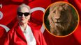 Narnia: se conocieron las primeras imágenes de la película de Greta Gerwig.