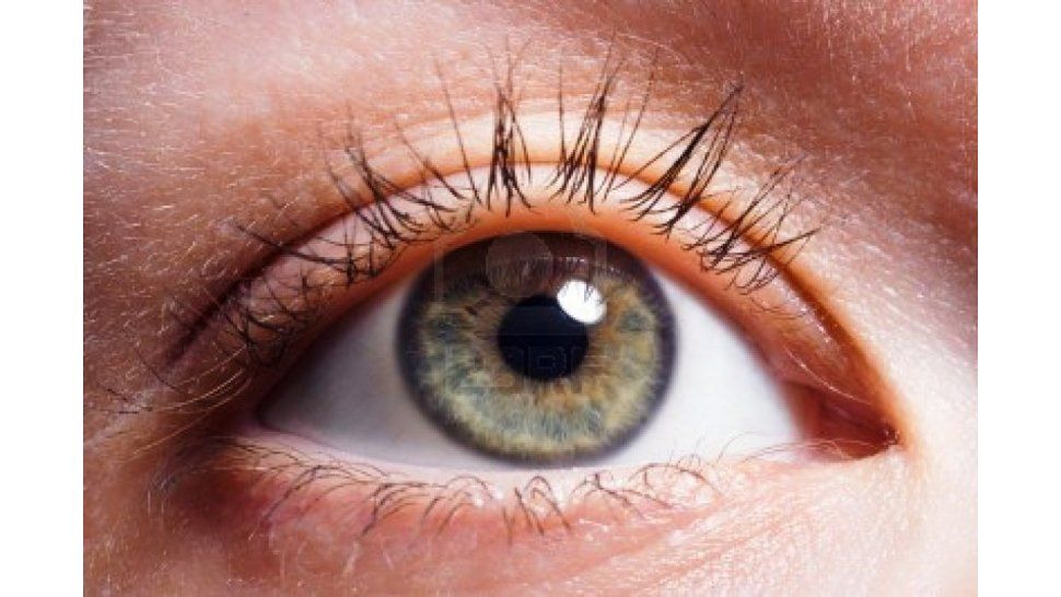 El parpadeo de los ojos