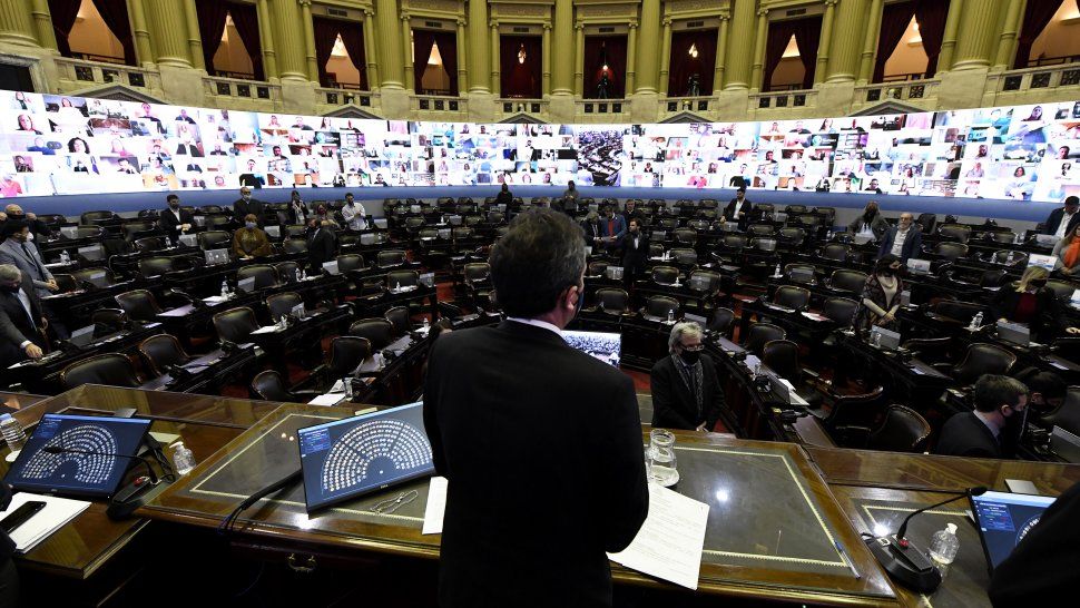 Proyecto en la sesi&oacute;n en Diputados