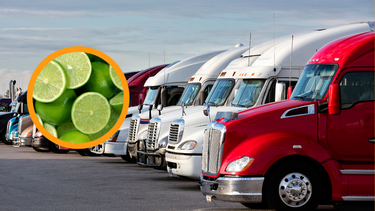 Robaron más de 4 toneladas de limones y no supieron explicar de dónde eran.