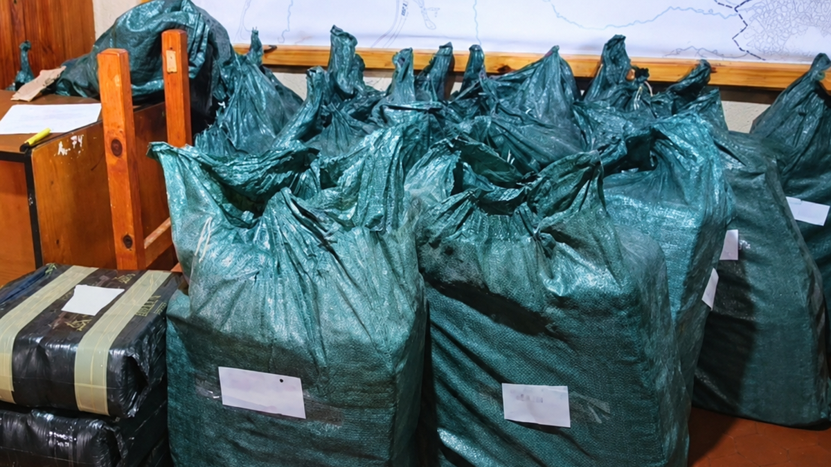 Megaoperativo contra el narcotráfico&nbsp;