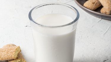 Día mundial de la leche