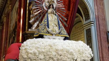 Claveles Señor y Virgen del Milagro.