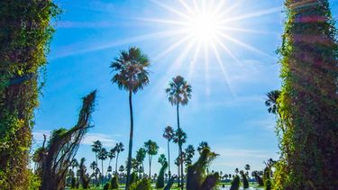 Bañado La Estrella también destaca por la riqueza de su fauna. Bañado La Estrella también destaca por la riqueza de su fauna.