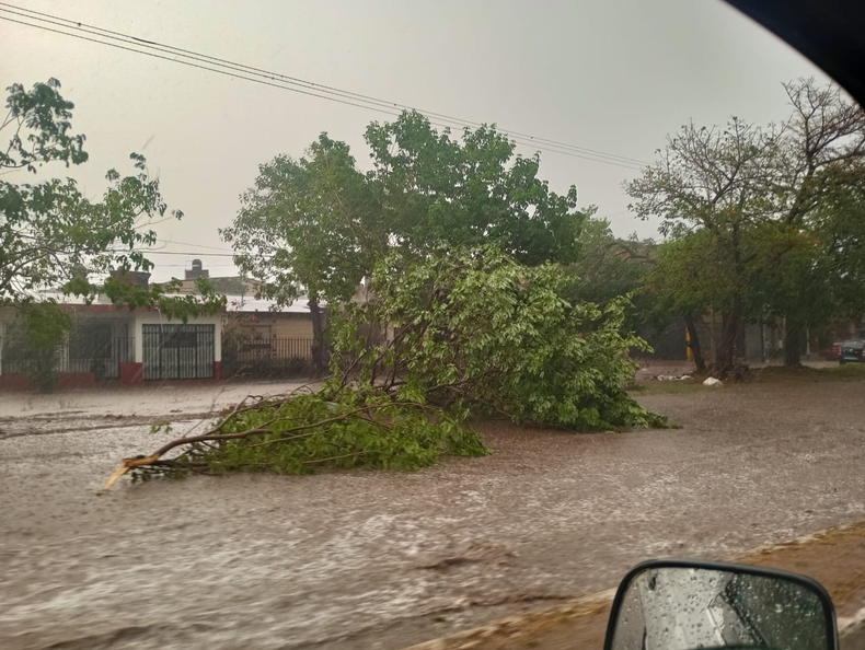 Temporal Libertador.