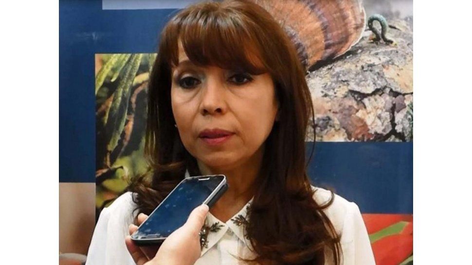 Secretaria de Gestión Ambiental