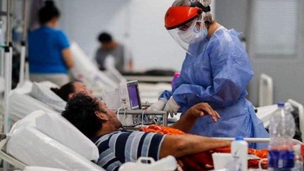 Consideran positivo la aplicación del suero equino para combatir el COVID-19