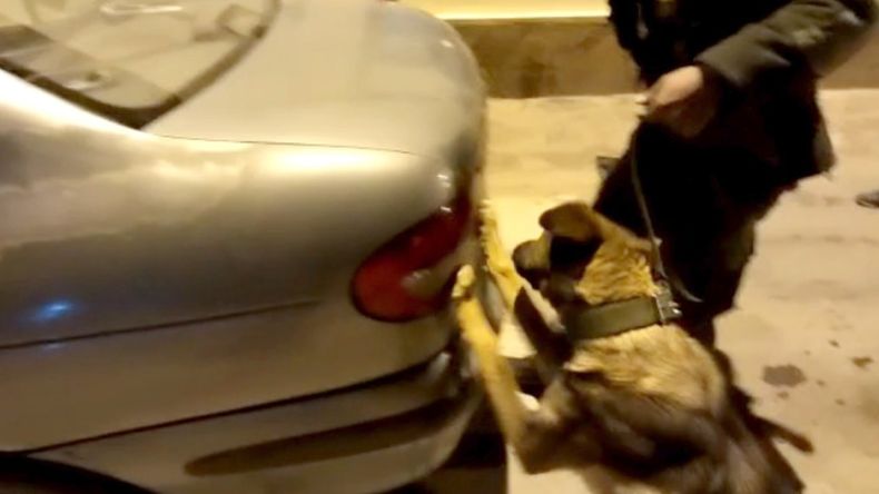 La perra Taty detectó 12 kilos de cocaína en La Quiaca