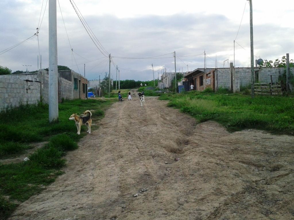 Estado de las calles