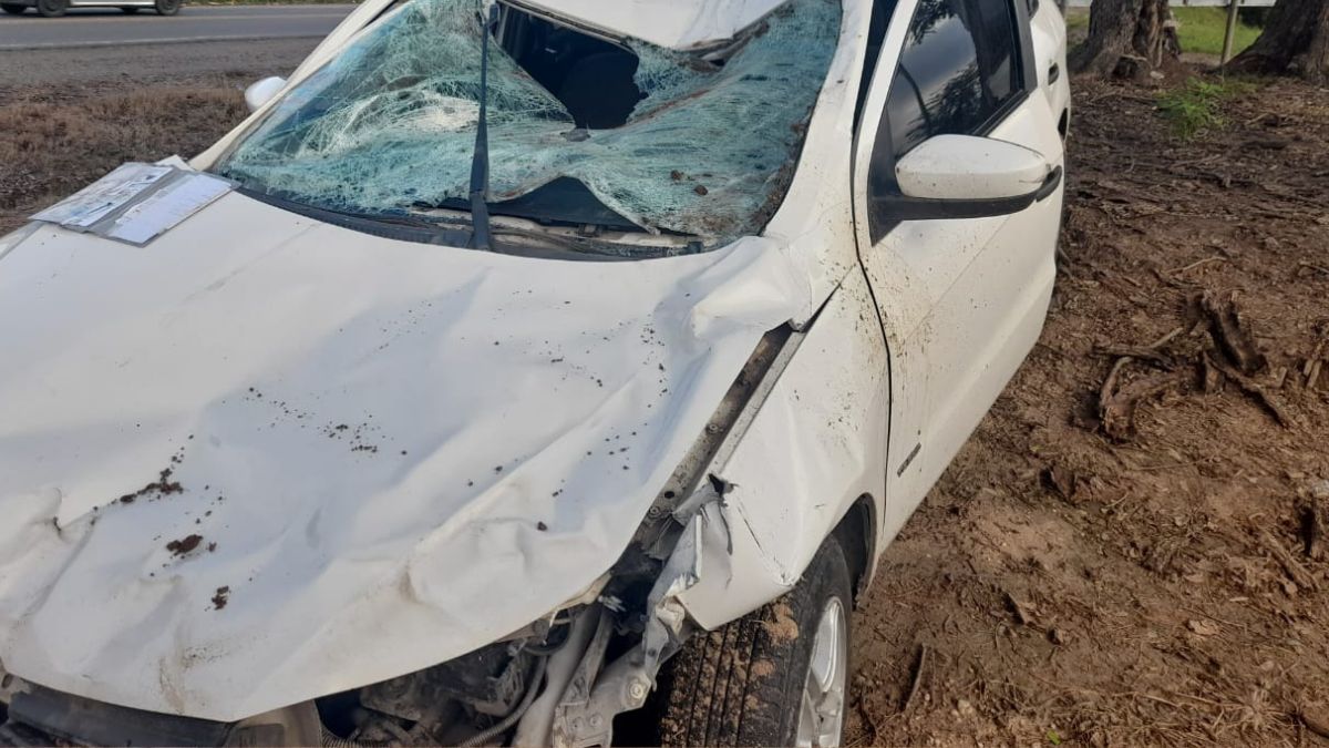 Chocó con un caballo en ruta 9 y terminó con graves heridas
