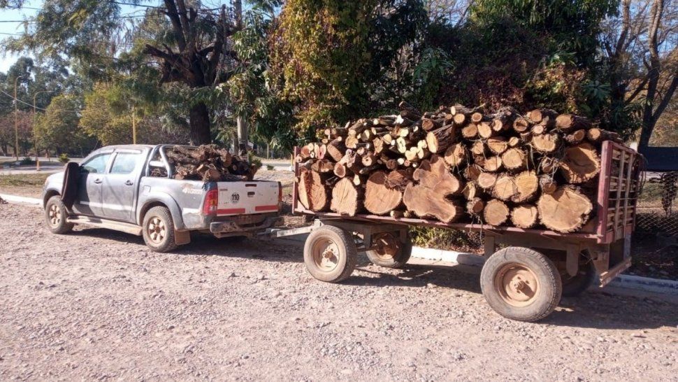 detuvieron una camioneta que llevaba madera ilegalmente