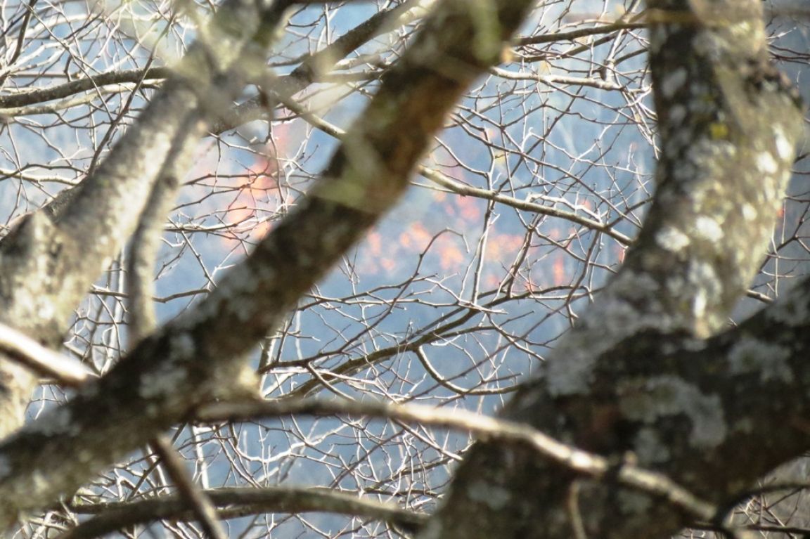 Incendios