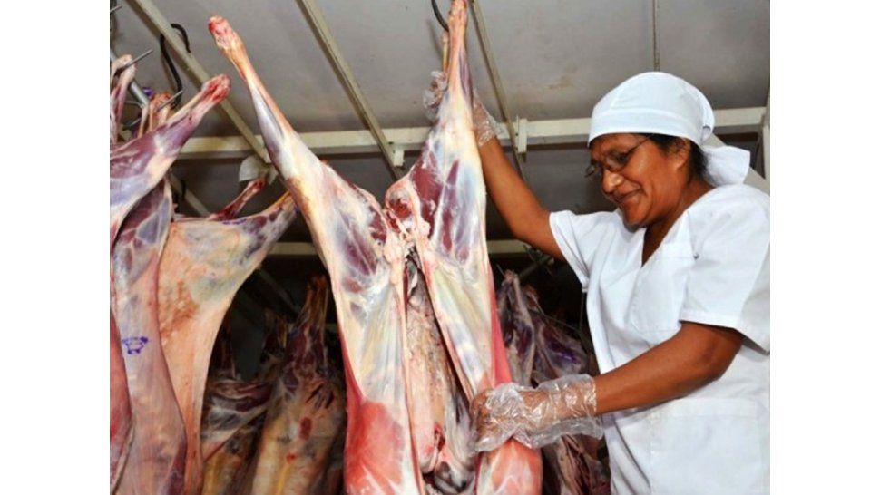 Camión con carne puneña