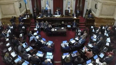 El Senado convocó para este jueves una sesión para tratar el veto a los ATN