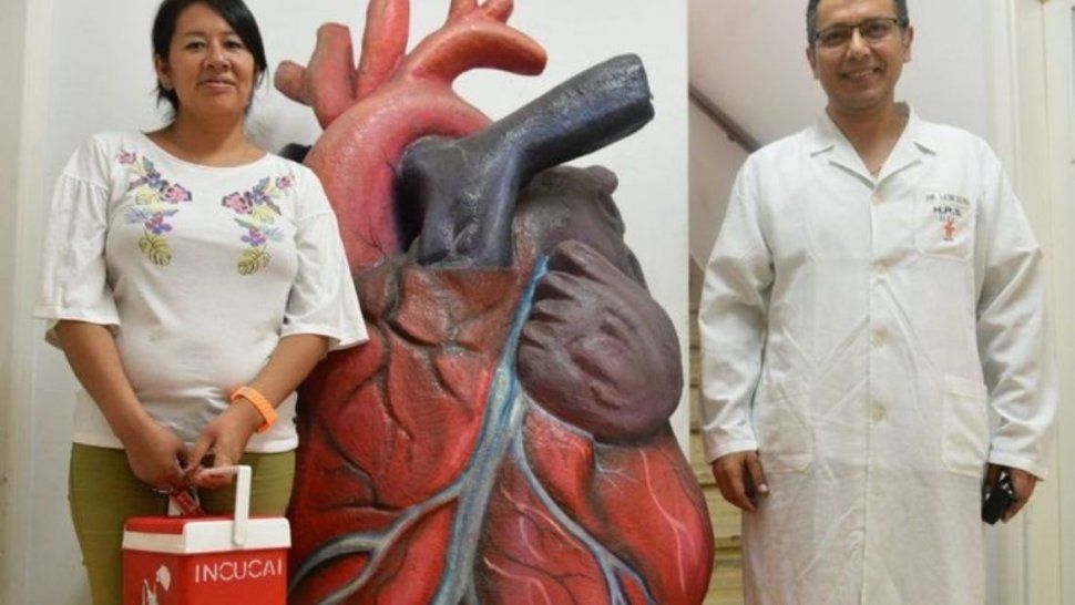 Dos jujeños recibieron trasplantes renales tras la primera ablación del año en la provincia