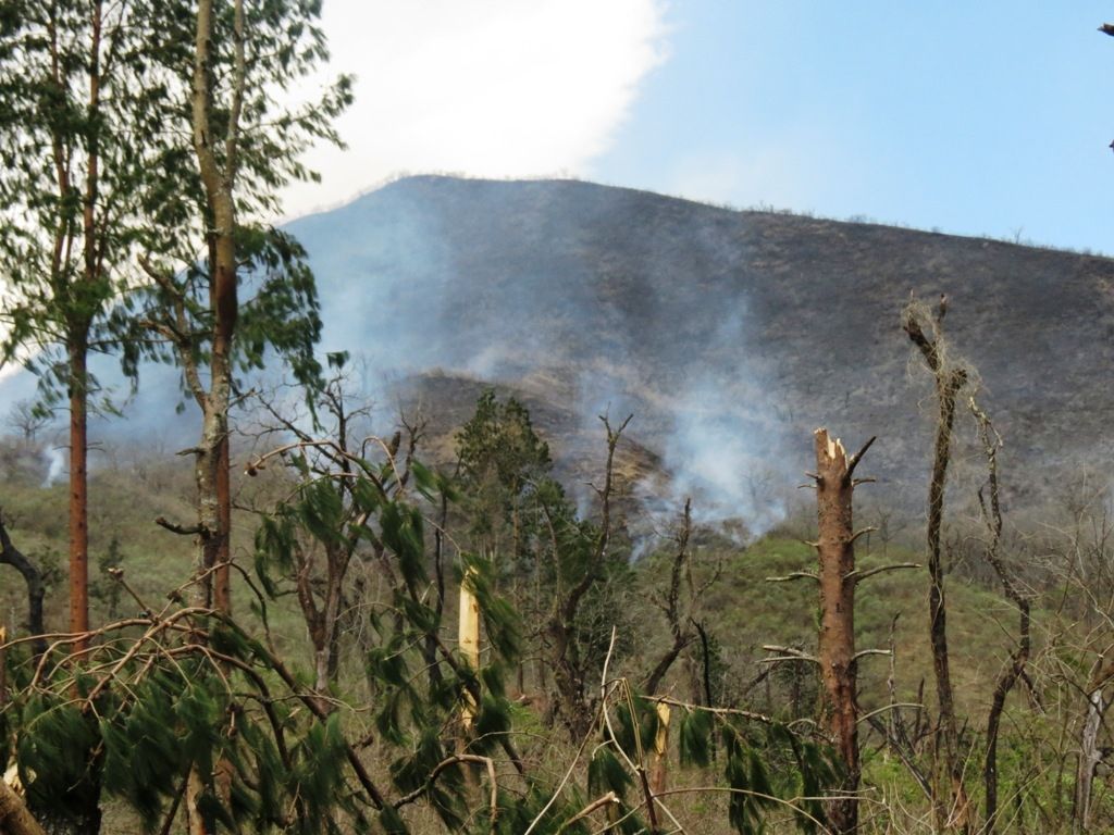 Foco de incendio