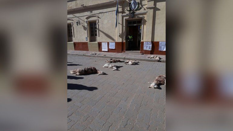 Llamas muertas