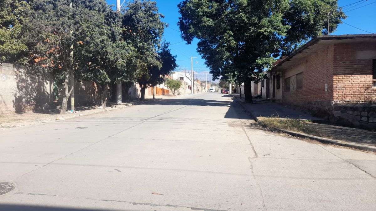 vecinos denuncian muerte de perros envenenados: es mi familia, todavia lo sigo llorando