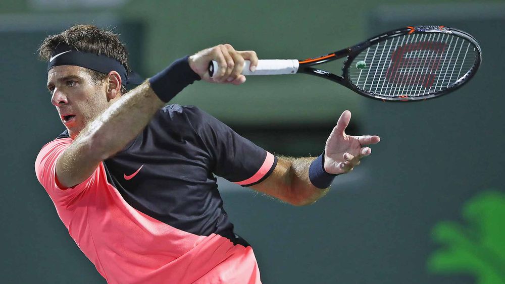 Juan Martin Del Potro