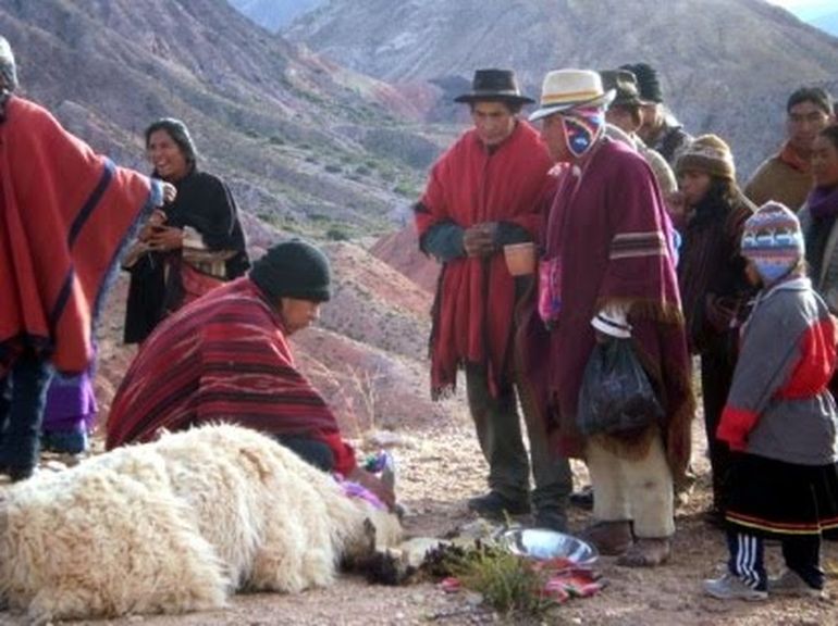 Sacrificio de animales en el ritual de la Pachamama.