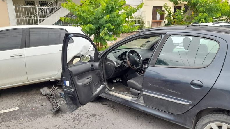 Siniestro vial: le habría entrado una abeja al auto, no pudo maniobrar y chocó Siniestro vial: le habría entrado una abeja al auto, no pudo maniobrar y chocó