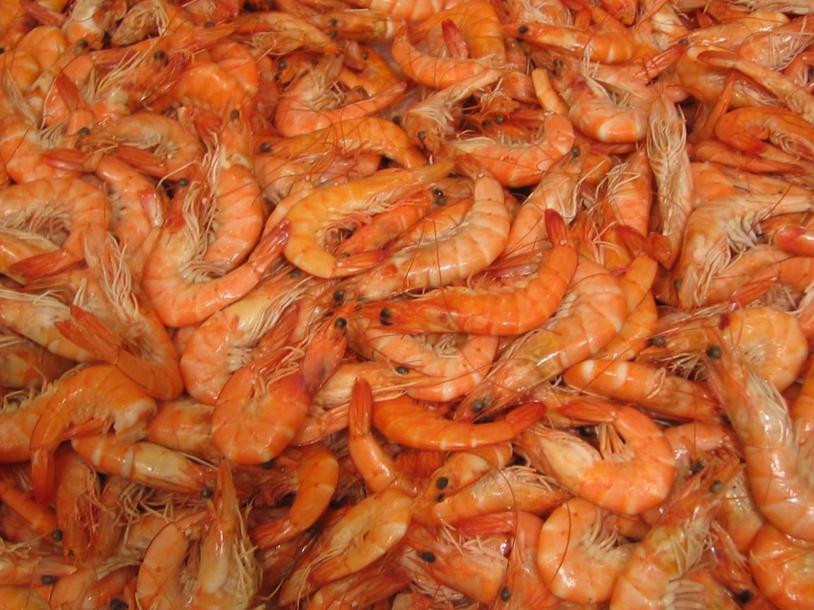 Cargamento de langostinos