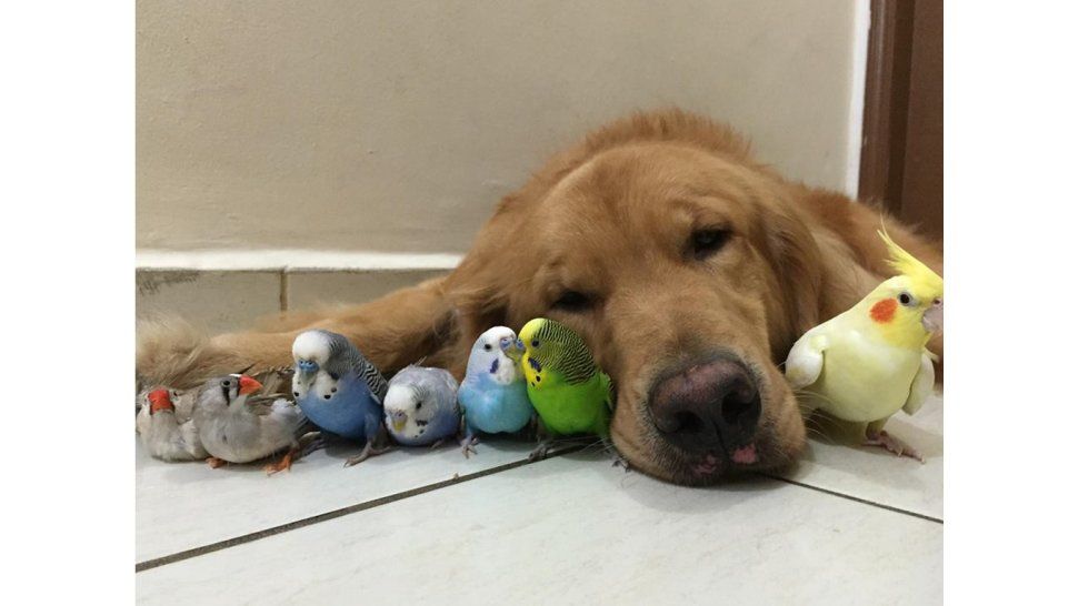 Bob y sus compañero de la casa