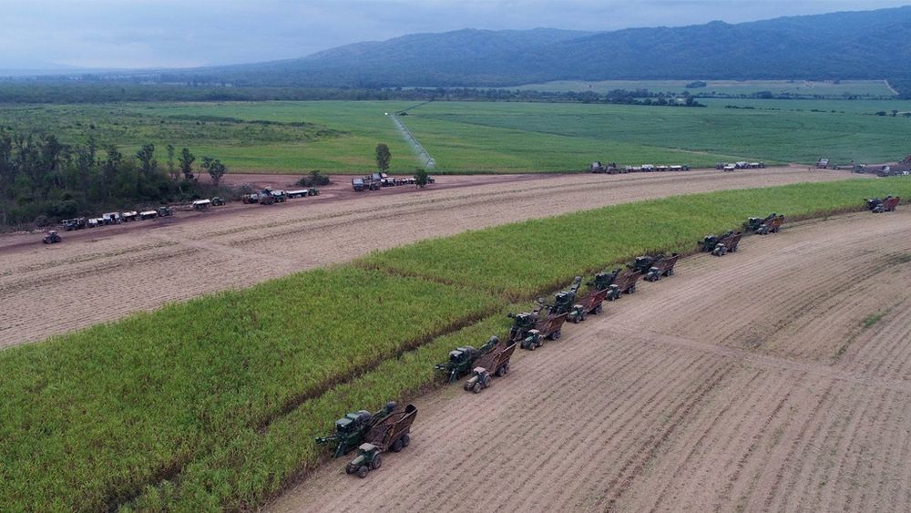 Fin de zafra: Ledesma produjo más de 385 mil toneladas de azúcar este año