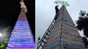 Inauguraron el árbol de Navidad de Chijra