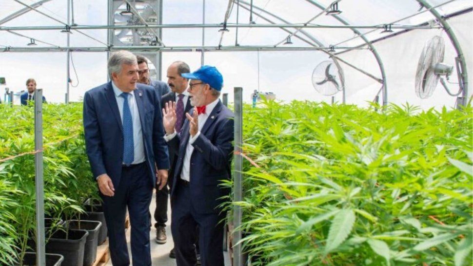 el embajador de canada visito el proyecto de cannabis medicinal