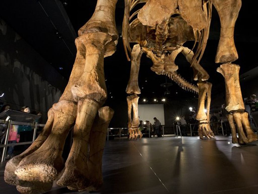 réplica del Titanosaurio