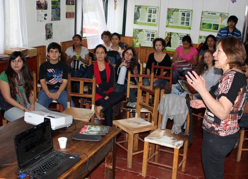 Curso
