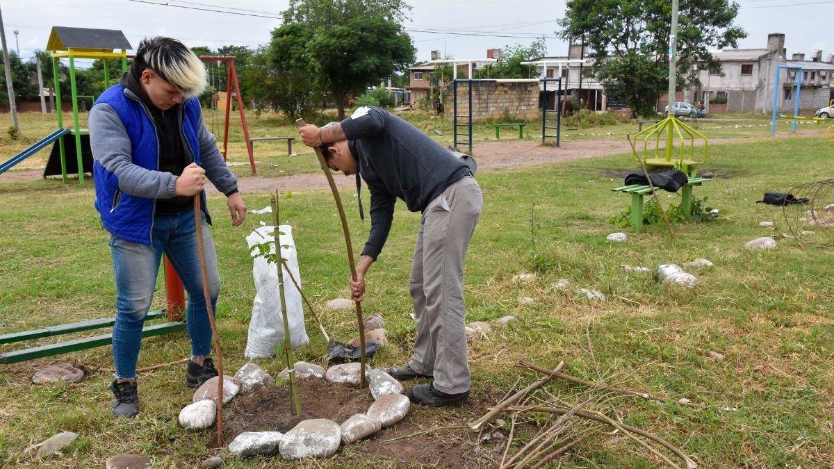 Plantaron nuevos árboles en el barrio 40 hectáreas de Libertador. /Ledesma