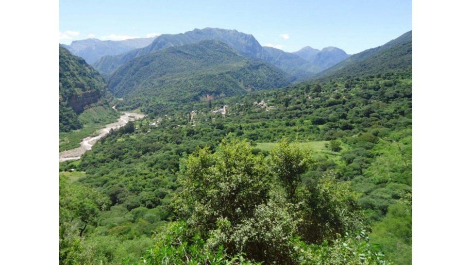 Bosques Nativos