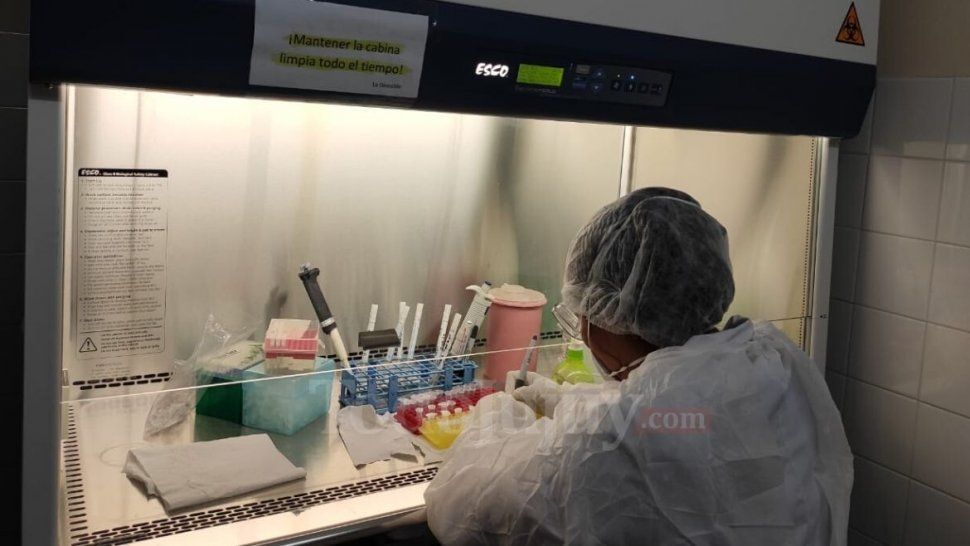 covid-19 en jujuy: 57 nuevos casos en las ultimas 24 horas